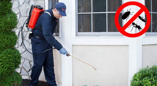 Kartal Akrep İlaçlama böcek ilaçlama ve haşere kontrolü — ilaclama-tr.com